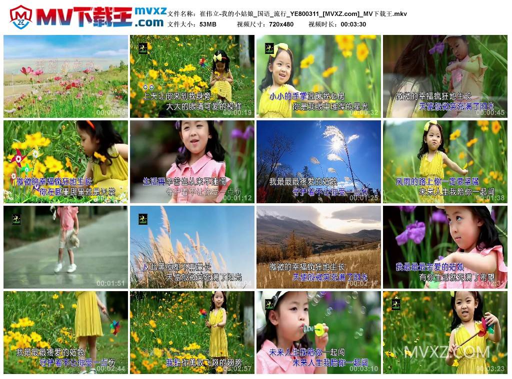 崔伟立-我的小姑娘_国语_流行_YE800311